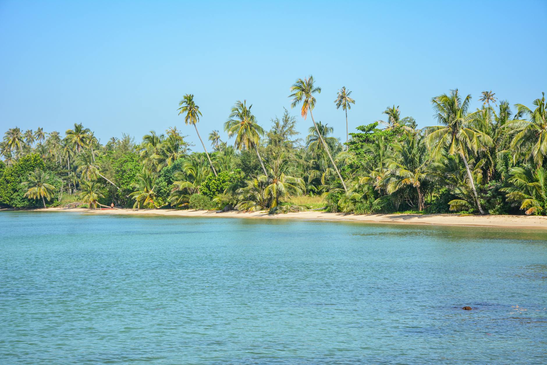 Spokojna plaża na wyspie Ko Mak z palmami i lazurową wodą