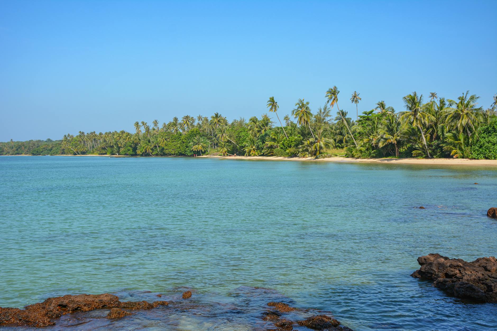 Spokojna plaża na wyspie Ko Mak z palmami i turkusowym morzem
