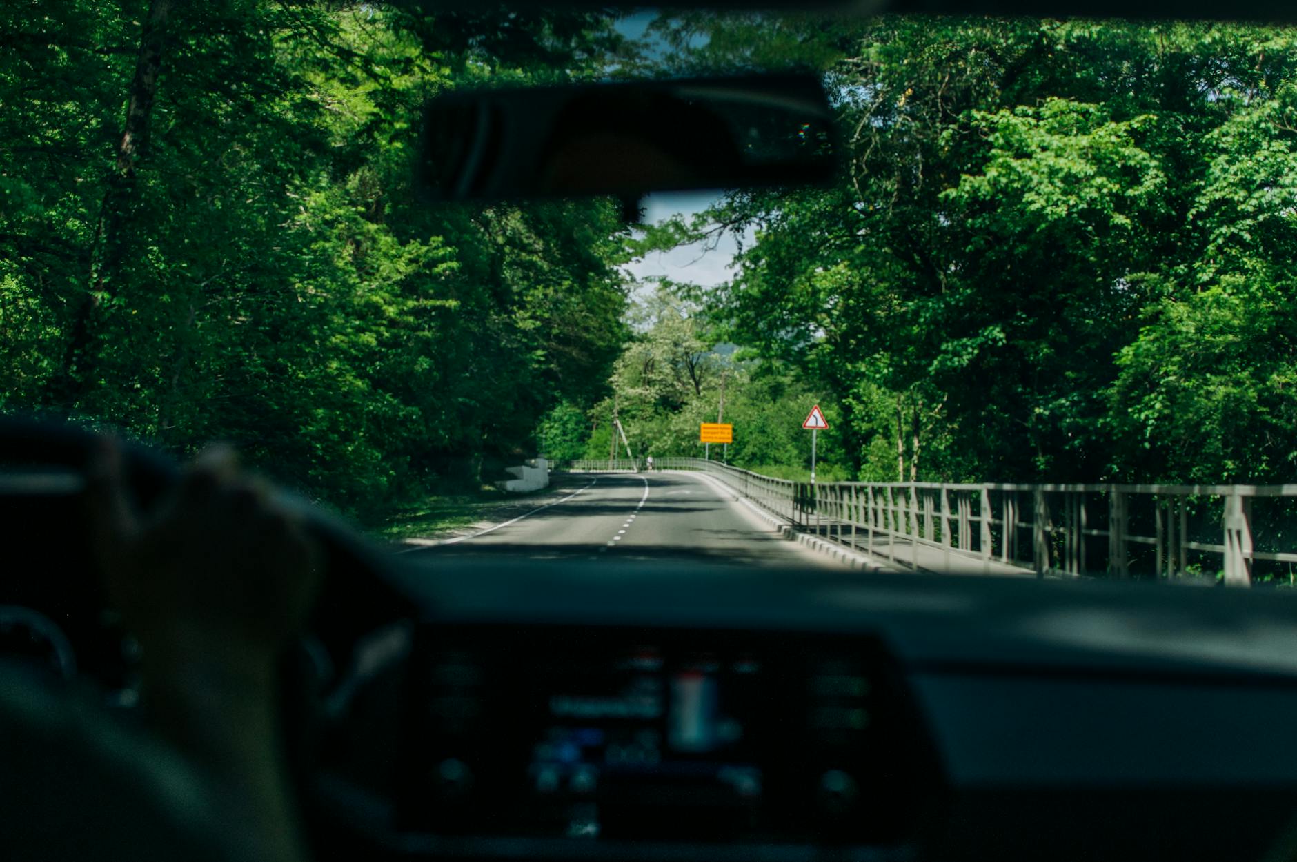 Widok z kokpitu auta jadącego po leśnej drodze z zielenią i znakami